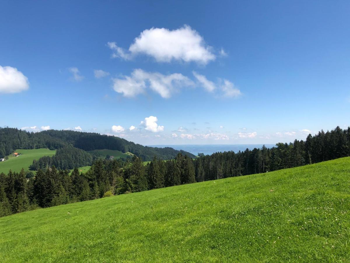 Hirschen Wald - Gasthaus & Baeckerei المظهر الخارجي الصورة