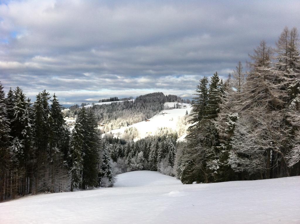 Hirschen Wald - Gasthaus & Baeckerei المظهر الخارجي الصورة