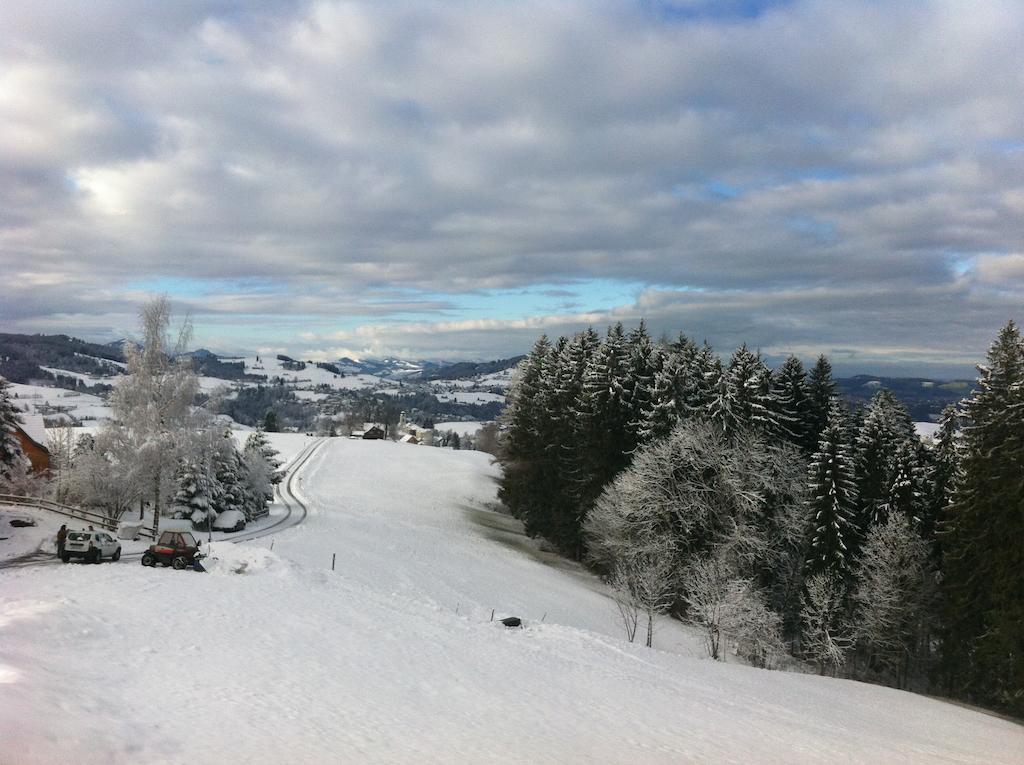 Hirschen Wald - Gasthaus & Baeckerei المظهر الخارجي الصورة